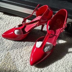Pleaser’s Women’s Red Patent leather Heel